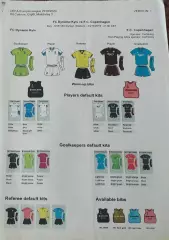 Динамо Киев Украина -Копенгаген Дания.24.10.2019.Лига Европы.Протокол.Вид 2.