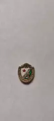 Жальгирис Вильнюс