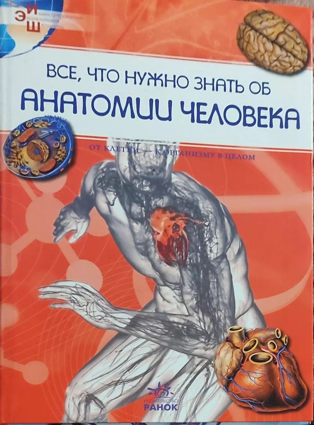 Все,что нужно знать об анатомии человека.Издательство Ранок.2011.