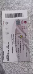 Динамо Киев Украина-Бешикташ Турция.24.02.2011.Идеал.