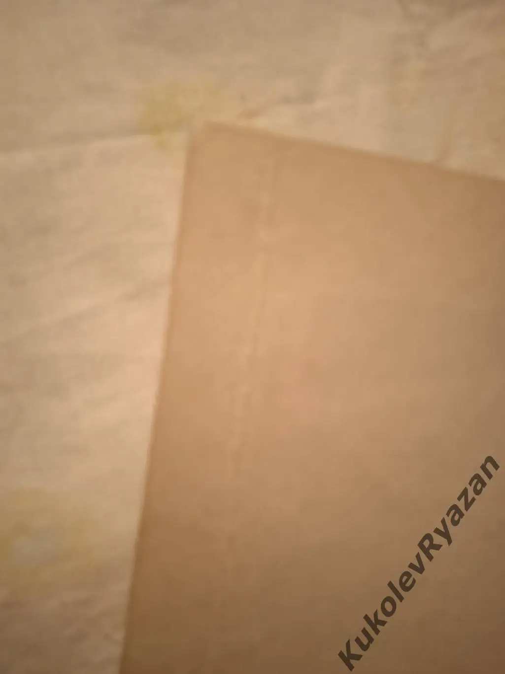 Хоккей Омск 1982 - 1983 Обложка замята (см фото) 1