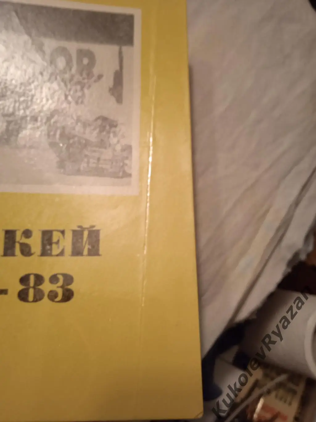 Хоккей Омск 1982 - 1983 Обложка замята (см фото) 2