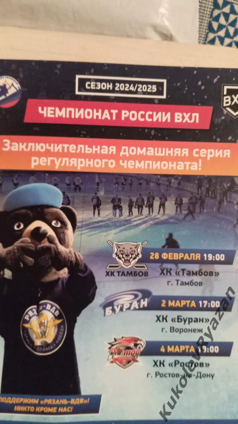 Хоккей ВХЛ Рязань-ВДВ Воронеж Тамбов Ростов 2025