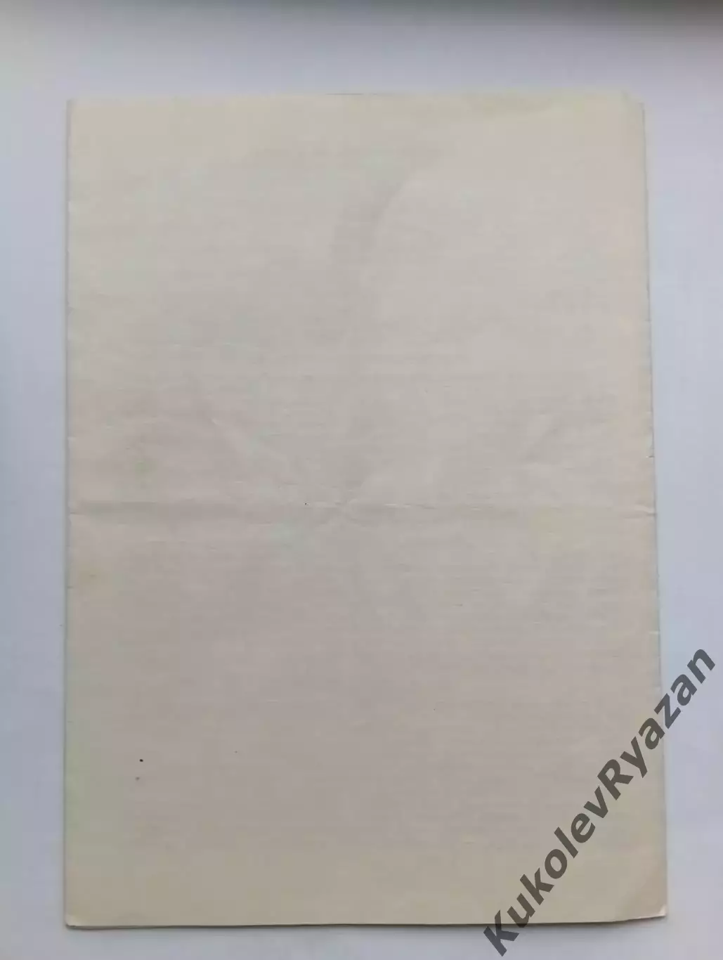 Динамо Брянск Текстильщик Камышин 1990 буферная центральная зона 2