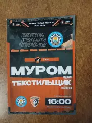 ФК МУРОМ- ТЕКСТИЛЬЩИК (ИВАНОВО) 2025 ГОД РЕДКАЯ