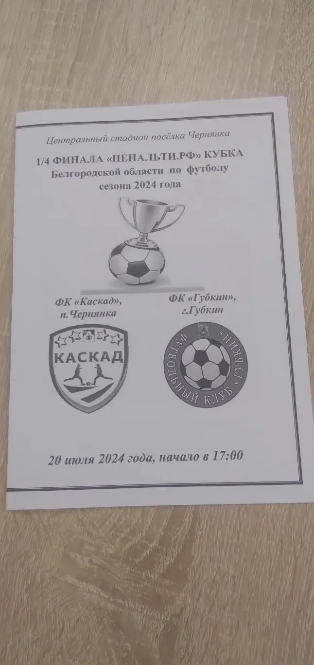 ПРОГРАММКА МАТЧА КАСКАД (ЧЕРНЯНКА) - ФК ГУБКИН 2024 Г