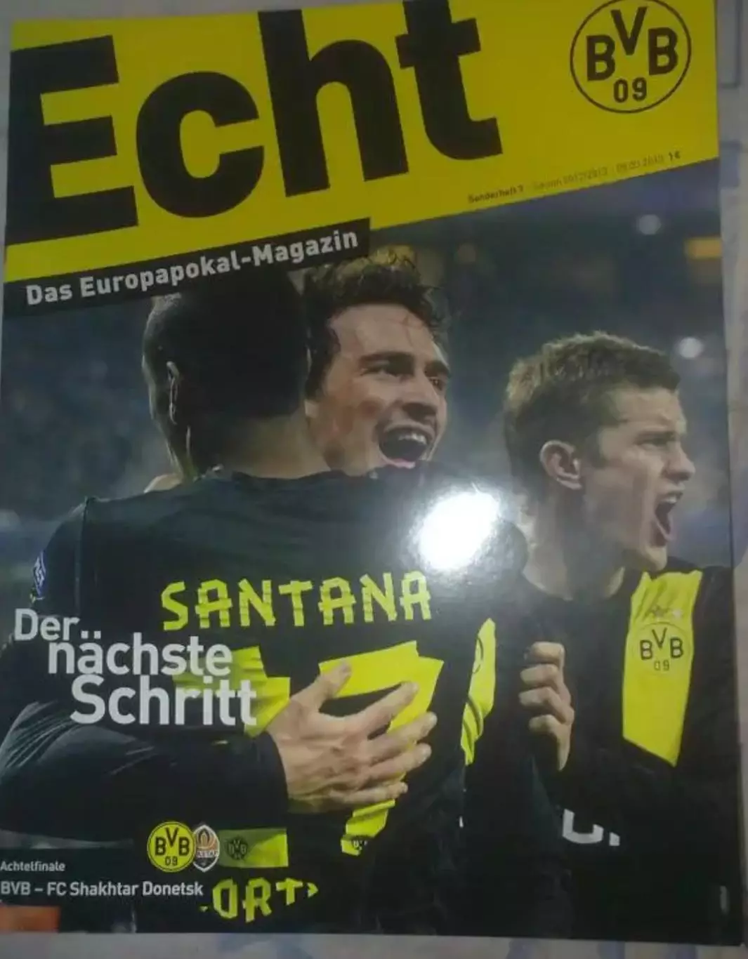 Боруссия Дортмунд - Шахтер Донецк 2012-2013