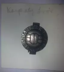 Знак. Футбол. Карпаты Львов (заколка)