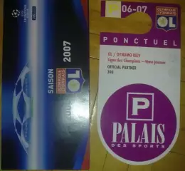 Футбол. Билет Лион Франция - Динамо Киев 2006-2007 пропуск