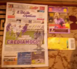 Фиорентина Италия - Днепр Днепропетровск 2013 (программа+газета)