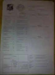 пресс-лист Арсенал Киев - Днепр Днепропетровск 2009-2010