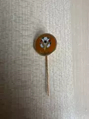 Футбол. Знак Федерация футбола ОАЭ