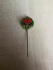 Футбол. Знак Федерация футбола #2 региональная Австрия