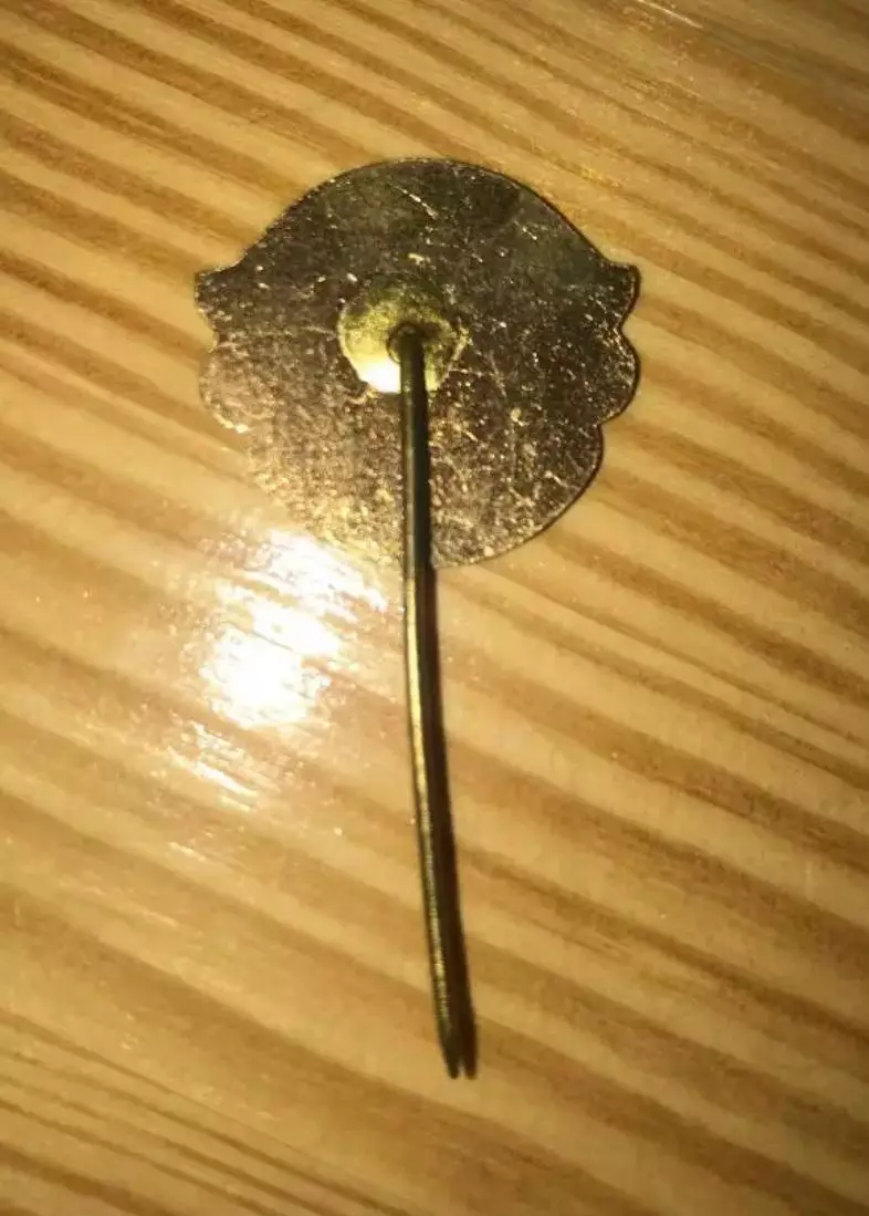 Футбол. Знак Норвич Англия (старый, на игле) 1