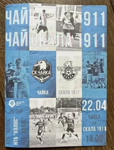 Чайка Киевская обл - Скала Стрый 2023-2024