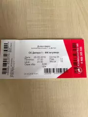 Билет Днепр-1 - Ингулец Петрово 2018-2019