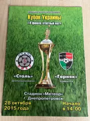 Сталь Каменское - Горняк Кривой Рог 2015-2016 кубок