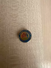 Знак Честер Сити Англия (заколка)
