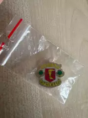 Знак Эннан Атлетик Шотландия (заколка)