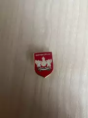 Знак Эксетер Англия (заколка)