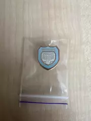 Знак Арброт Шотландия (заколка)