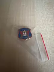 Знак Карлайл Англия (заколка)