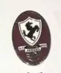 Футбол. Знак. Торино Италия