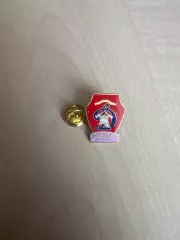 Знак Динамо Мурманск Россия