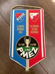 Вымпел Баник Чехия - Црвена Звезда Белград 1981