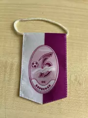 Вымпел Борисфен Борисполь