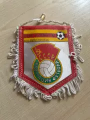 Вымпел Чемпионат Мира 1982 - СССР