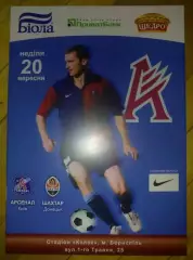 Арсенал Киев - Шахтер Донецк 2009-2010
