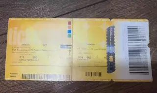 Билет Фиорентина Италия - Днепр Украина 2013-2014