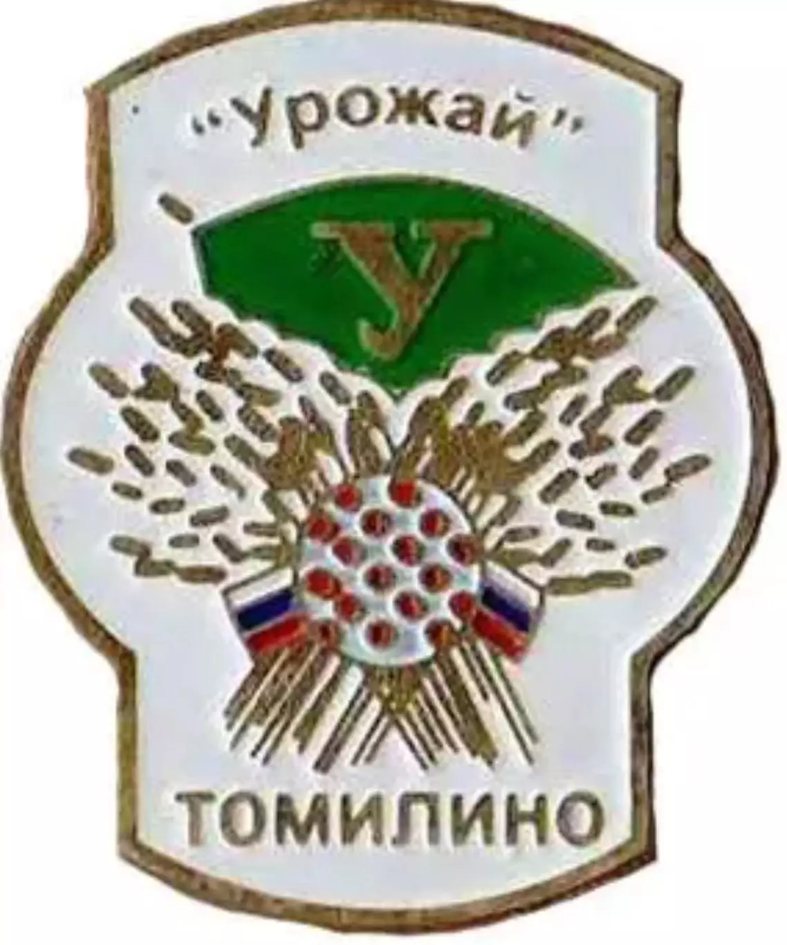 Хоккей с мячом. Знак Урожай Томилино