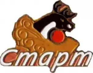 Хоккей с мячом. Знак Старт Нижний Новогрод