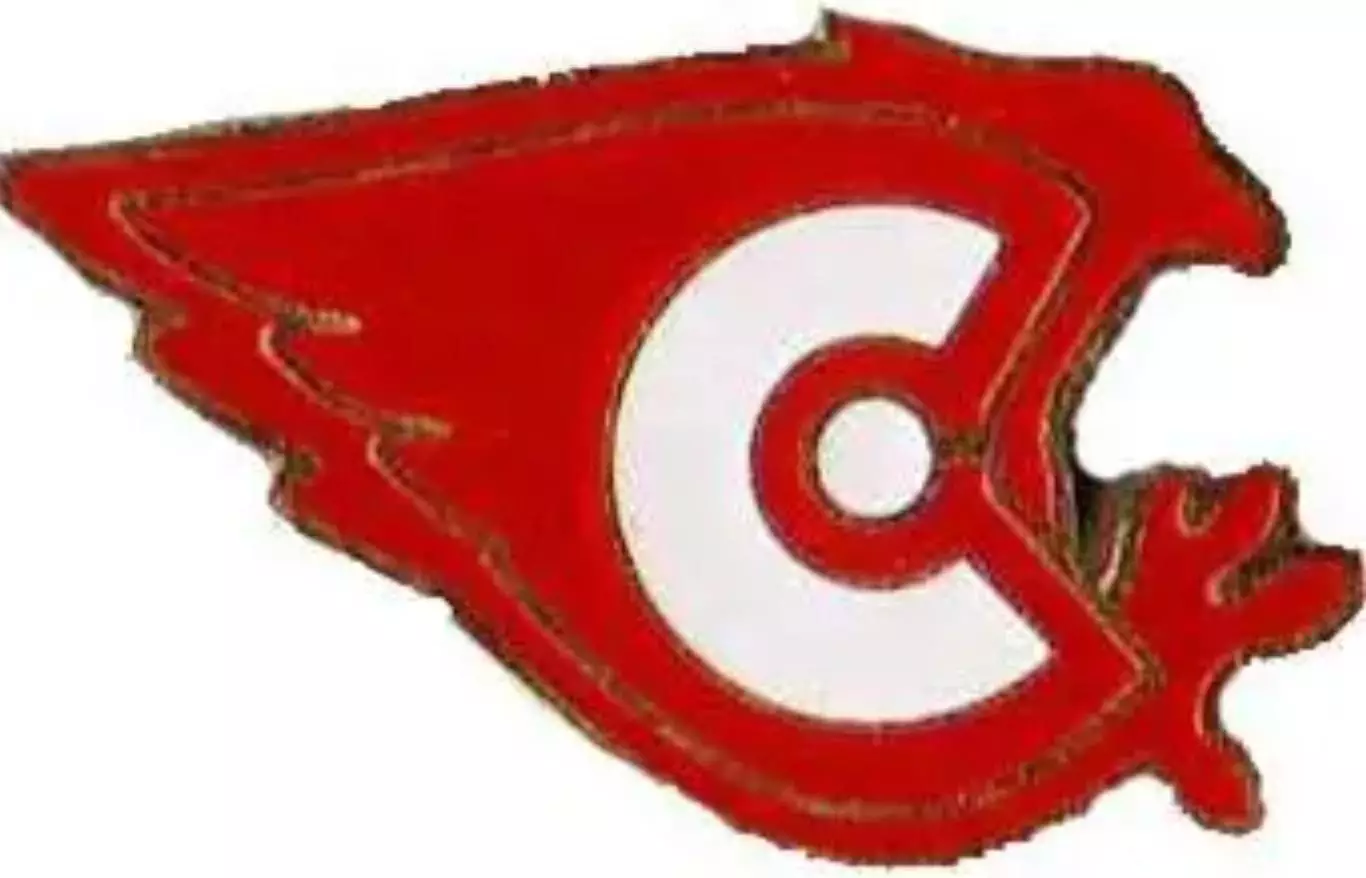 Знак. Хоккей. Хоккейный клуб Сокол Новочебоксарск