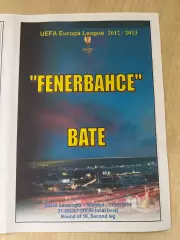 Фенербахче Турция - Батэ Беларусь 2012-2013