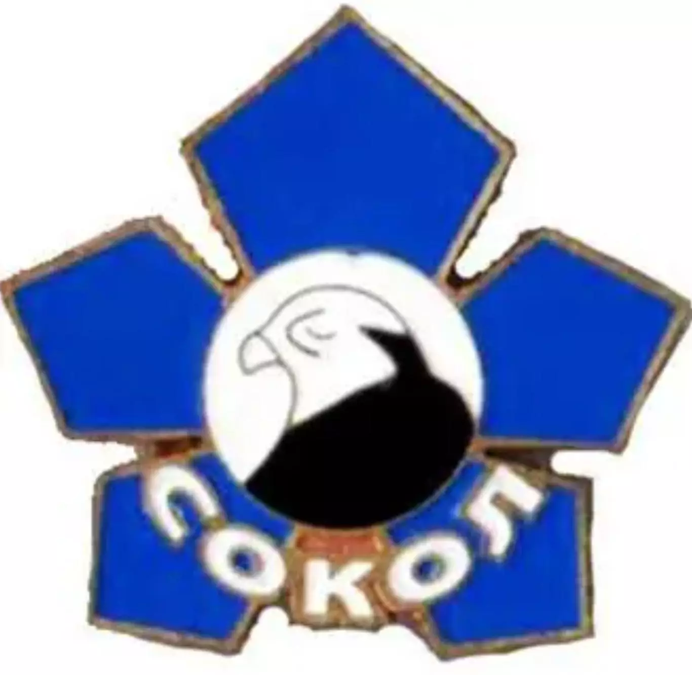 Знак. Хоккей. Хоккейный клуб Сокол Киев №2