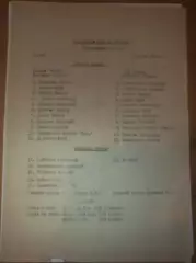 пресс-лист Динамо Киев - СКА Ростов 1981 дубль