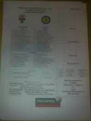пресс-лист Оболонь Киев - Динамо Киев 2010-2011