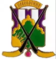 Хоккей с мячом. Знак Новокосино Москва