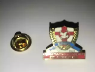 Футбол. Знак. Тонга (Федерация Футбола)