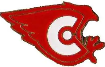 Знак. Хоккей. Хоккейный клубСокол Новочебоксарск