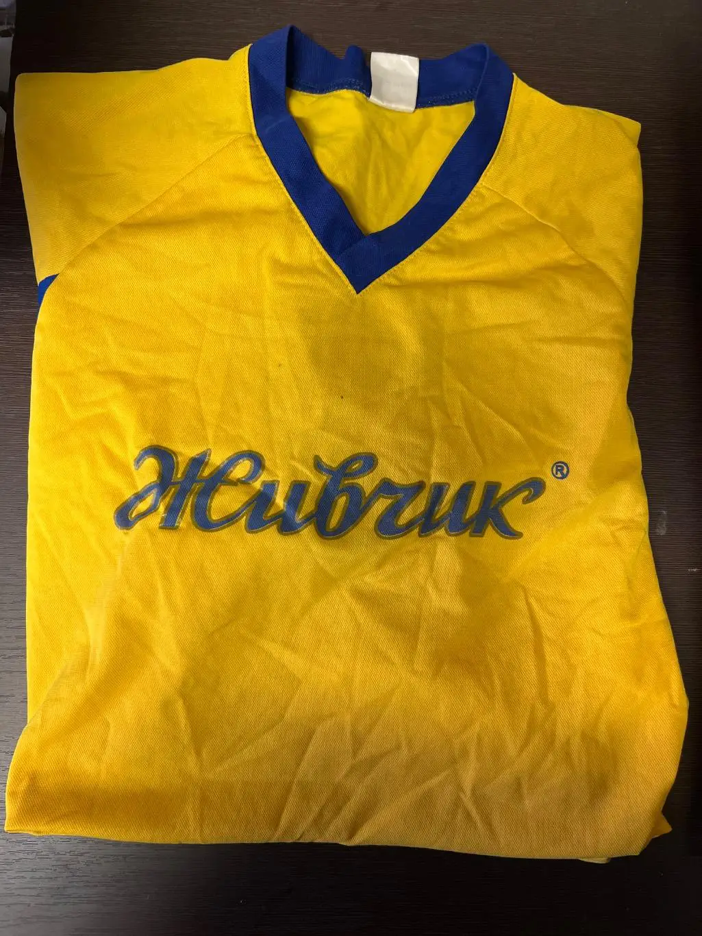 Игровая футболка Живчик Смена Оболонь Киев