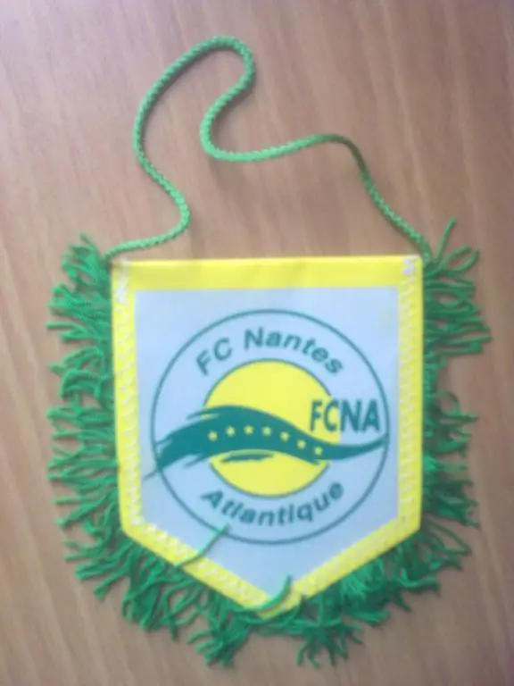 Вымпел Нант Франция - Спартак Москва 1995-1996 1