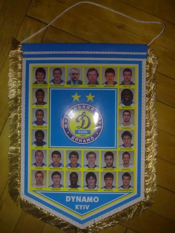 Вымпел Динамо Киев 2009