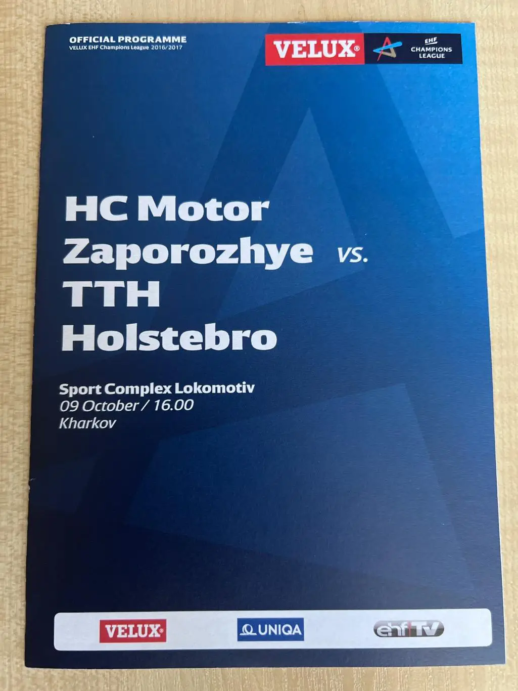 Гандбол. Мотор Запорожье - Хольстебро Дания 2016