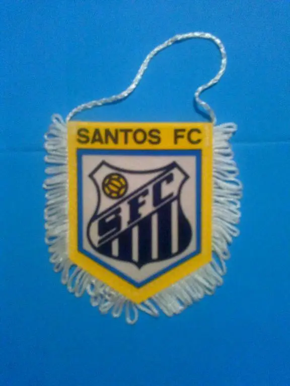 Вымпел Сантос Бразилия