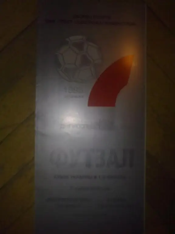 Мини-футбол. ДСС Запорожье - Будивел Днепропетровск 2004-2005 кубок