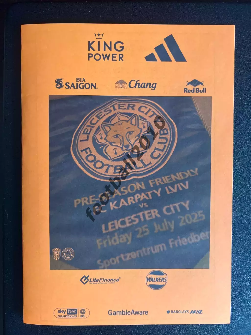 Карпаты Львов - Лестер Англия 2025 МТМ